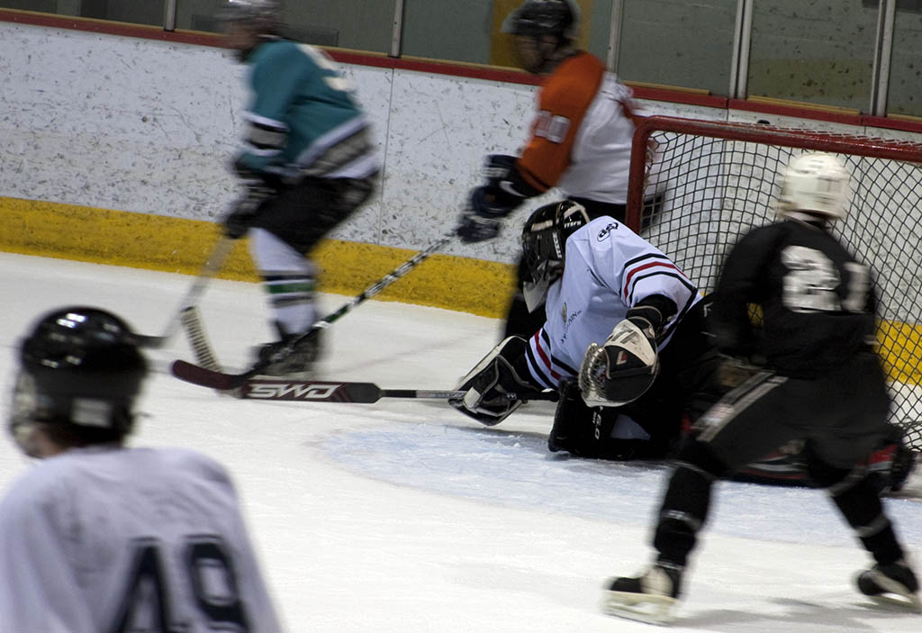 dgt_hockey (8)